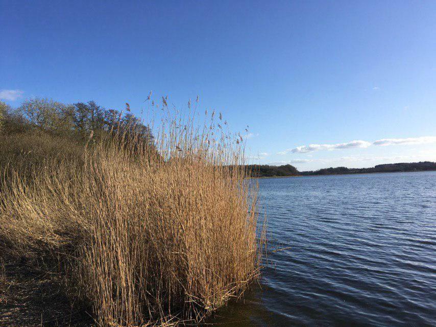 Ferienwohnung Am Noor Nahe Schleswig Und Dem Wikingerdorf Haithabu Fahrdorf  Eksteriør bilde