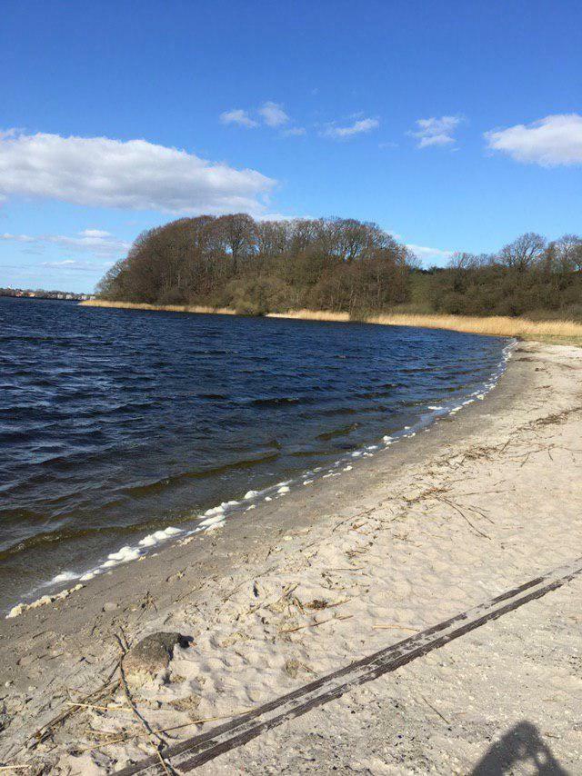 Ferienwohnung Am Noor Nahe Schleswig Und Dem Wikingerdorf Haithabu Fahrdorf  Eksteriør bilde