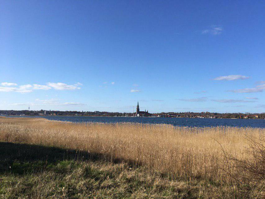 Ferienwohnung Am Noor Nahe Schleswig Und Dem Wikingerdorf Haithabu Fahrdorf  Eksteriør bilde